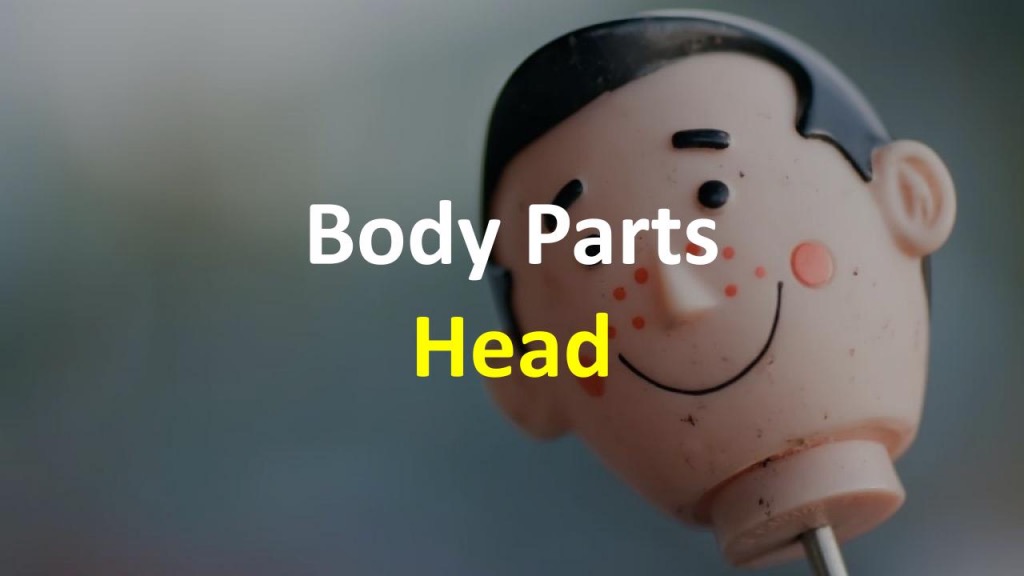 Части тела на английском: голова