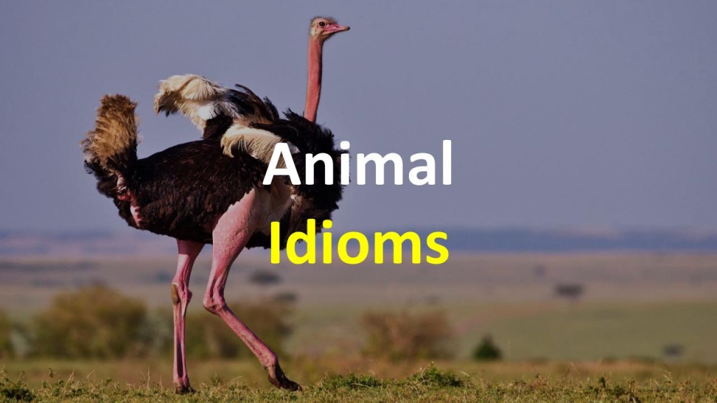 Идиомы с животными