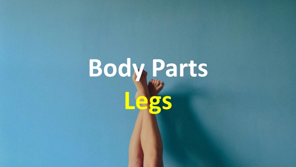 Части тела на английском: ноги